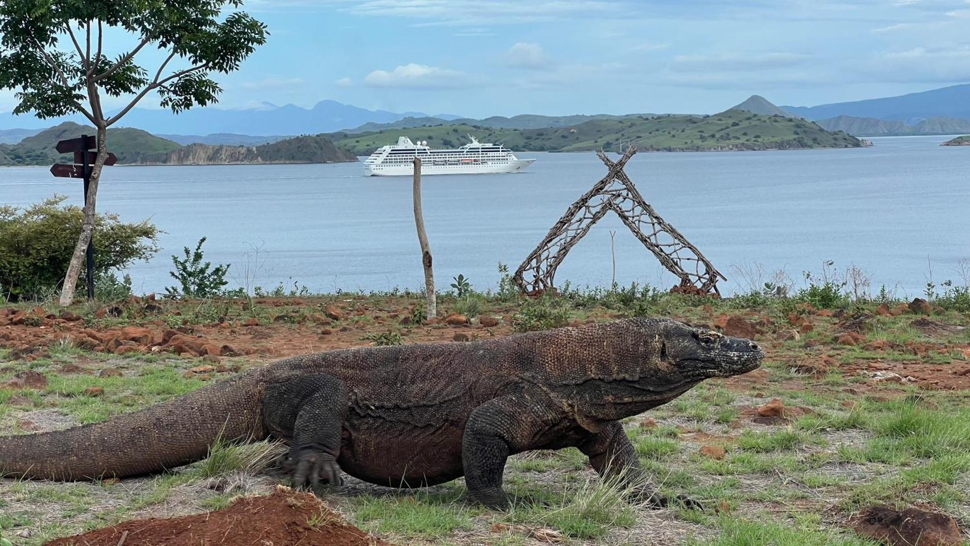 Jhuna Komodo Homestay Екстериор снимка