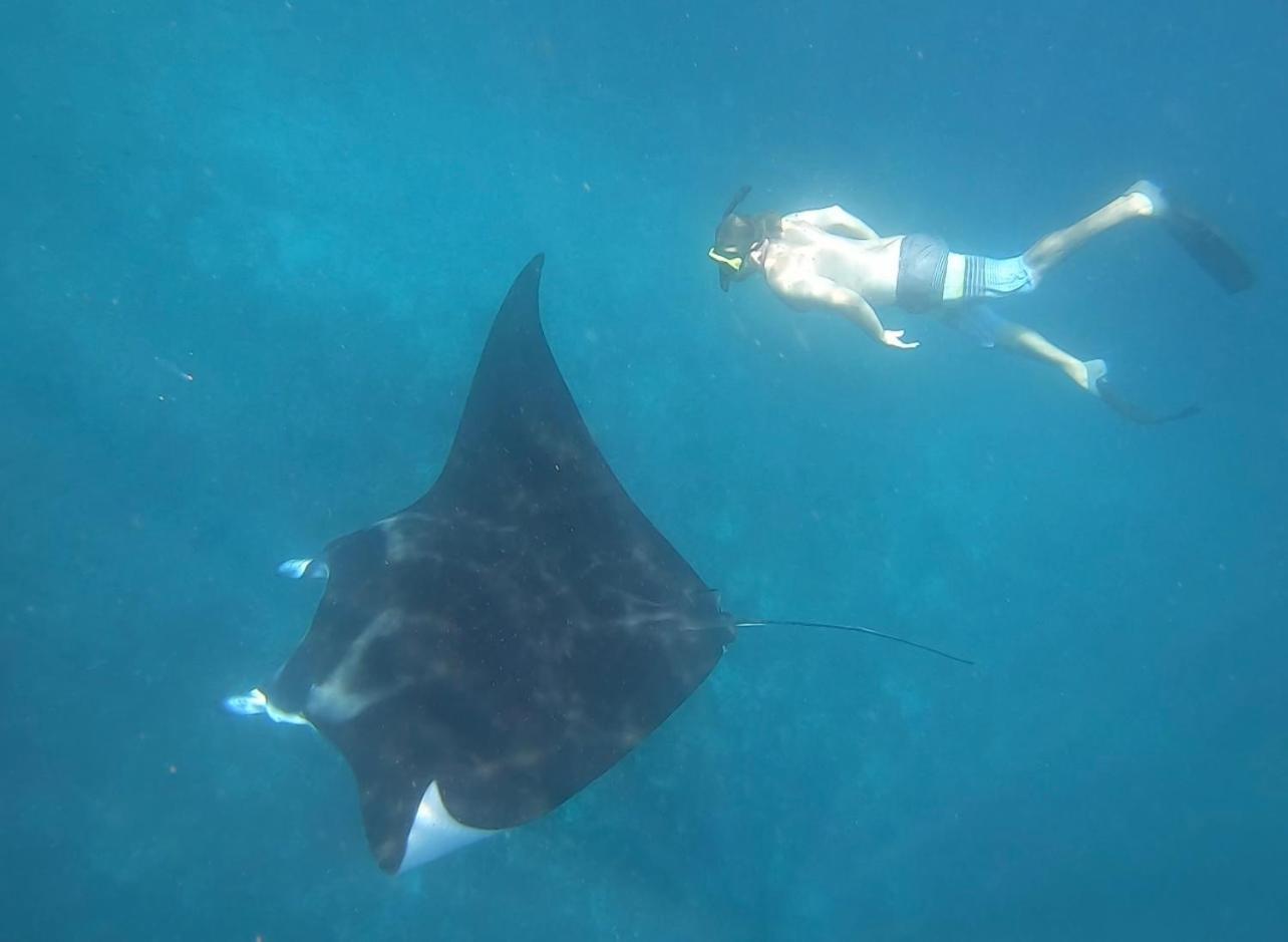 Jhuna Komodo Homestay Екстериор снимка
